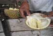 Malaysia: Durian