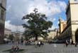 Poland: Rynek Glowny (Grand Square) in Kraków